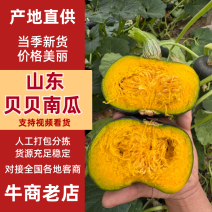 山东精品贝贝南瓜大量上市中粉糯香甜口感好对接市场商超