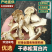 内蒙干赤松茸白片赤松茸干货产地直发对接市场商超