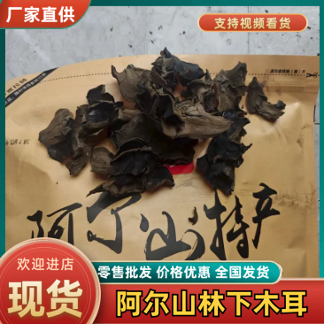 阿尔山林下木耳基地直供质量保障欢迎选购对接市场