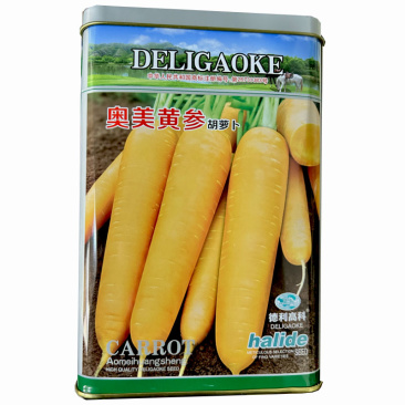 黄胡萝卜种子奥美黄参胡萝卜300g肉质细嫩大田基地