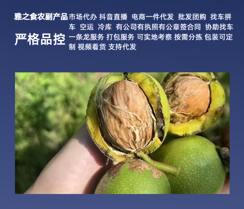 牛商四川凉山去皮核桃市场代办抖音直播电商一件代发批发团购