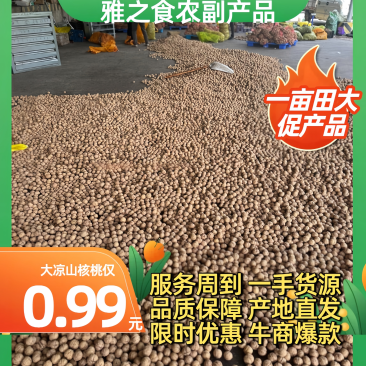 【好评过万】四川老树市场代办抖音直播电商一件代发批发团购