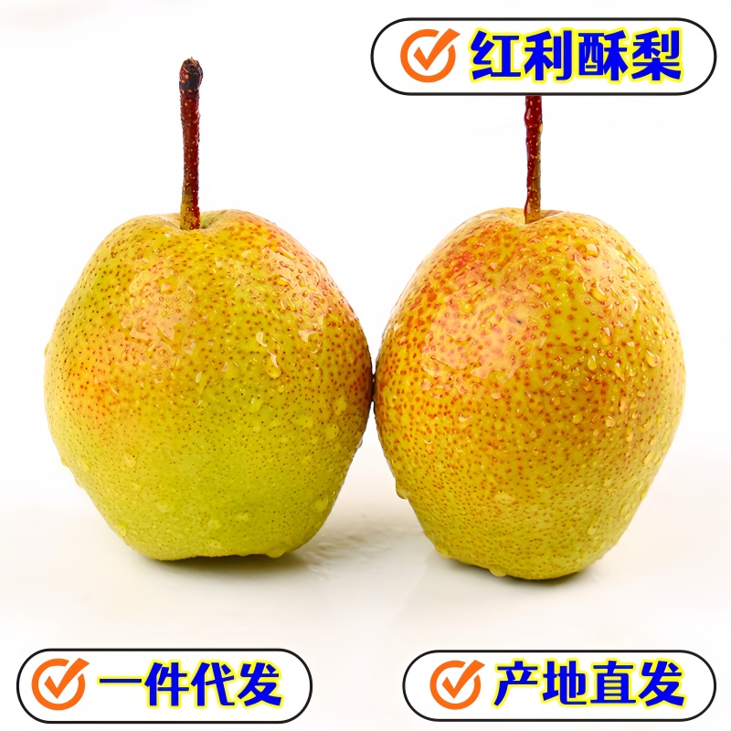 现货一件代发陕西红香酥梨新鲜现摘供应电商各大平台