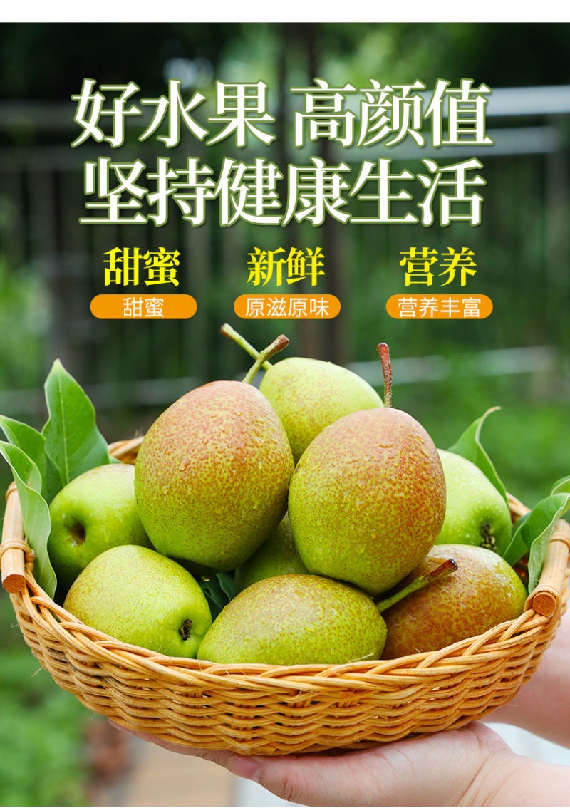现货一件代发陕西红香酥梨新鲜现摘供应电商各大平台