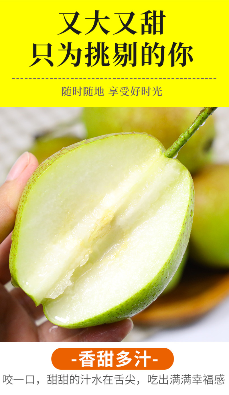 现货一件代发陕西红香酥梨新鲜现摘供应电商各大平台