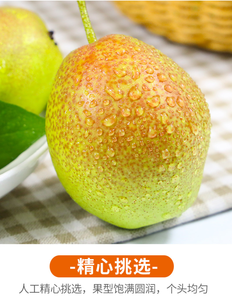 现货一件代发陕西红香酥梨新鲜现摘供应电商各大平台