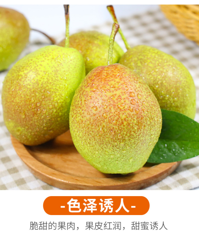 现货一件代发陕西红香酥梨新鲜现摘供应电商各大平台