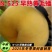 N-525黄毛蟠蟠桃苗5月底6月初成熟无裂果浓甜多