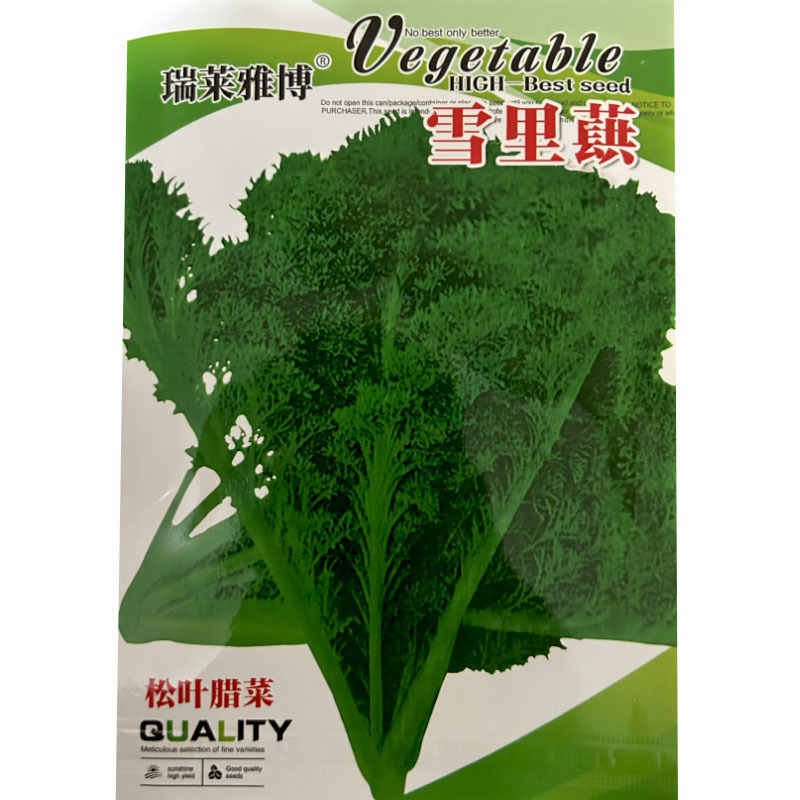 雪里蕻种子松叶腊菜种子10克耐热耐寒春秋播种蔬菜种子
