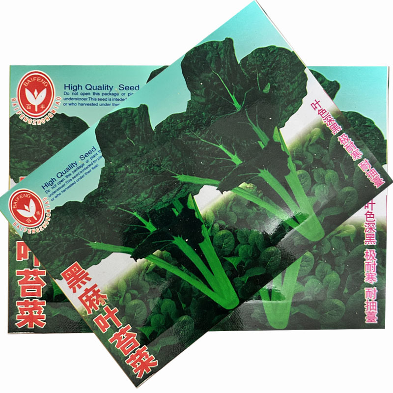 黑麻叶苔菜种子叶色深黑10g耐寒耐抽薹大田基地用种