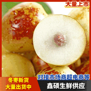 山东沾化冬枣精品冬枣产地直发批发团购多多一件代发