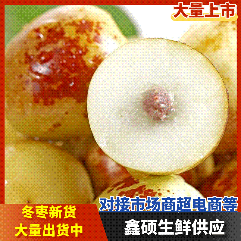 山东沾化冬枣精品冬枣产地直发批发团购多多一件代发
