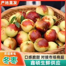 【推荐】山西冬枣鲜枣对接全国支持视频看货一件代发批发
