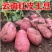 土豆红皮黄心青薯9号土豆对接批发采购商场超市电商等