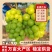 夏邑阳光玫瑰，底糖15+田头直采价格美丽