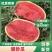 《硒砂瓜》宁夏石头瓜/金城五号/质量三包/整车批发供应