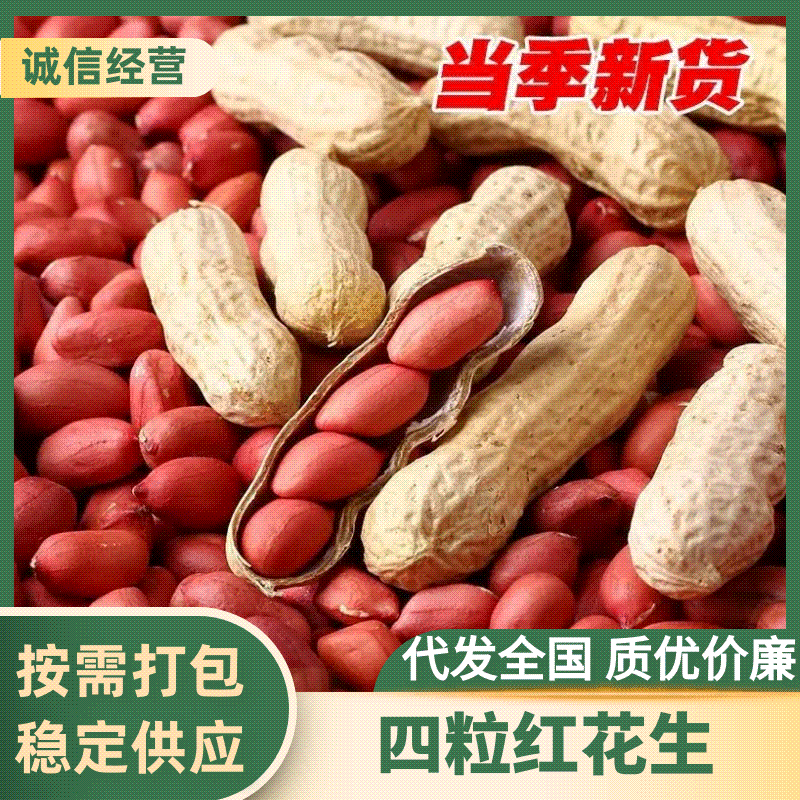 精品花生四粒红花生货源充足量大从优质量保证欢迎咨询
