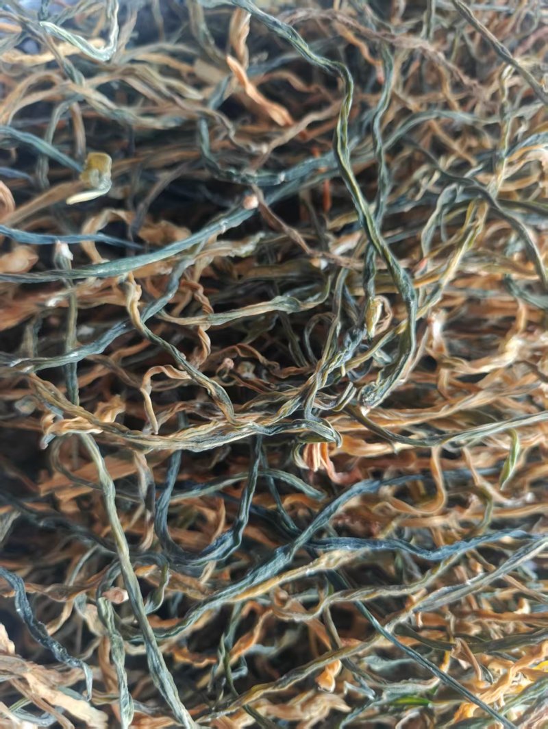 山东干豆角供应电商食堂各大工厂一手货源可视频看货