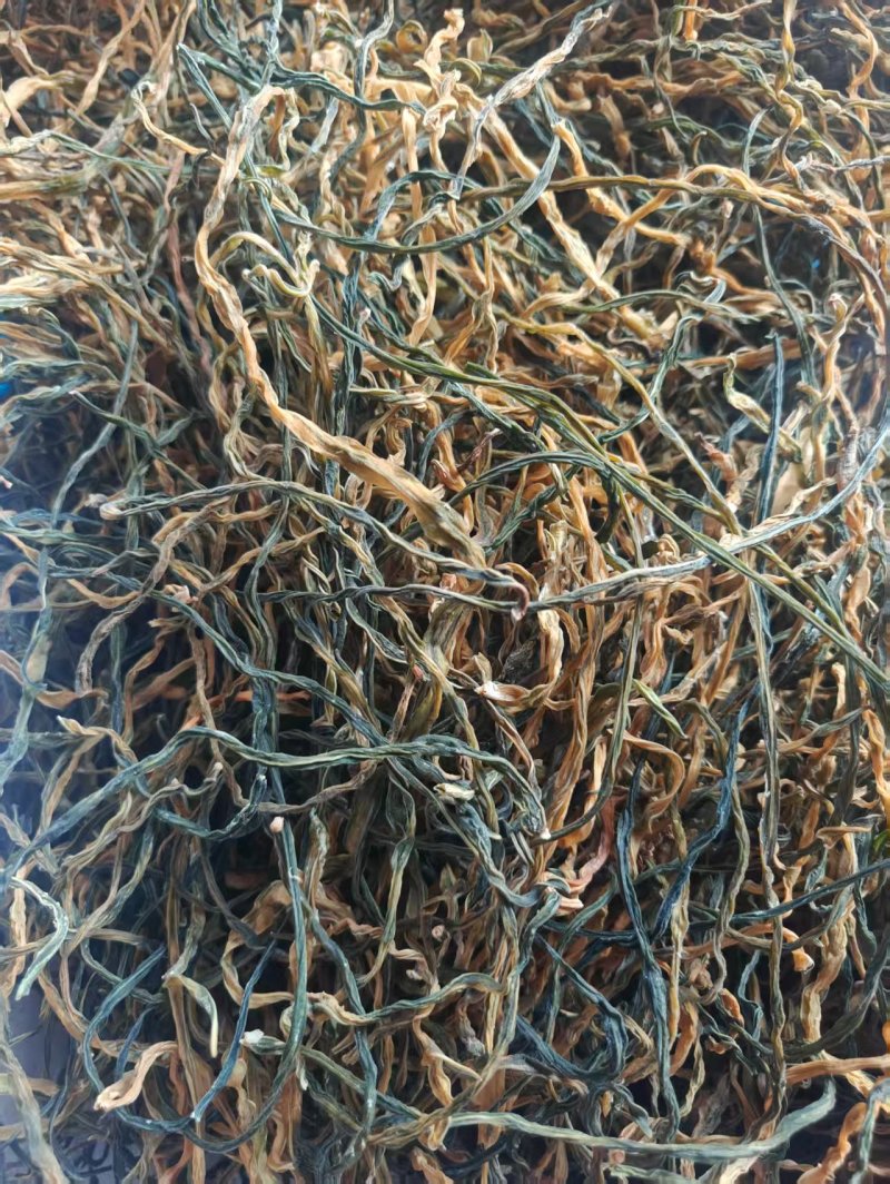 山东干豆角供应电商食堂各大工厂一手货源可视频看货