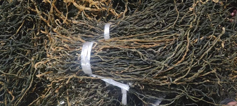 山东产地干豆角干豇豆一手货源保质保量常年大量供应