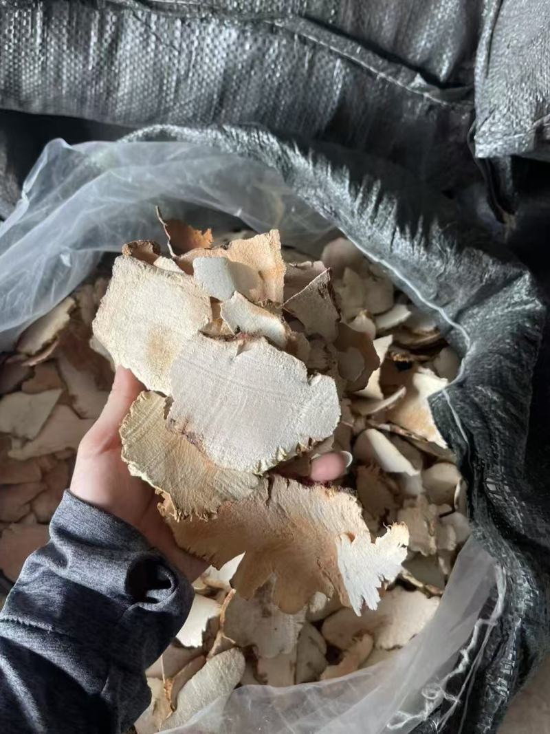 老挝粉质土茯苓现货量大从优欢迎咨询购买