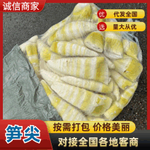 英德产地[笋尖]优质全嫩清水，凉拌专用