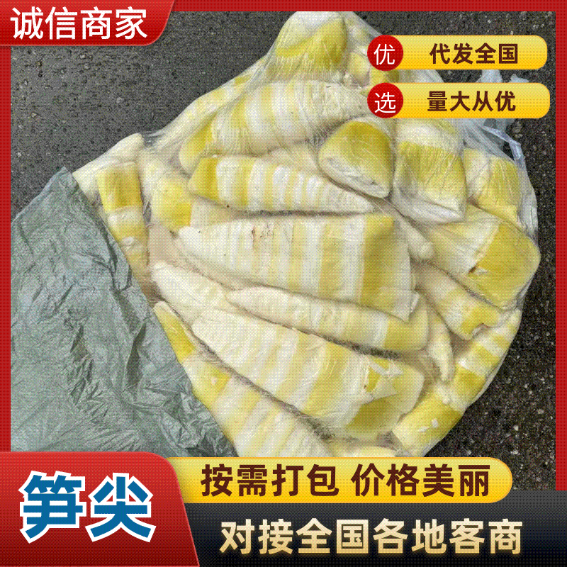 英德产地[笋尖]优质全嫩清水，凉拌专用