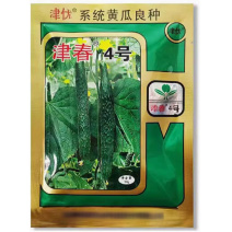 津优4号黄瓜种子50克春秋露地秋延后大棚越夏绿