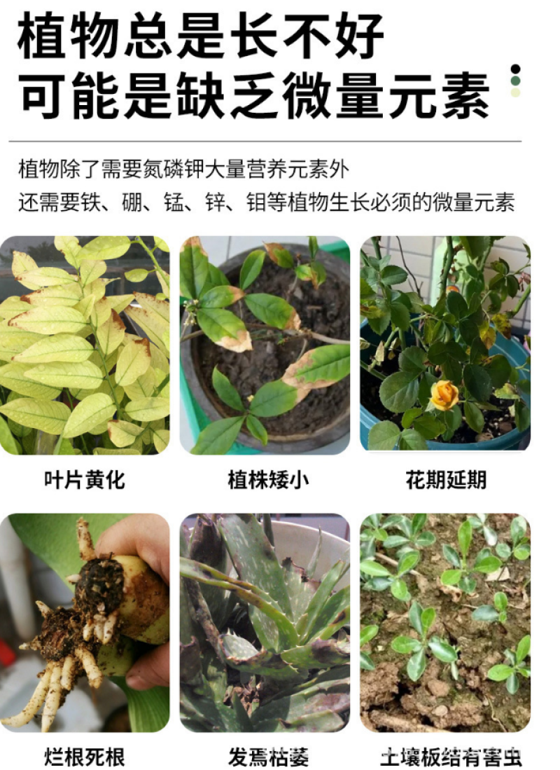 大量元素水溶肥料平衡氮磷钾肥蔬菜果树正品厂家直销