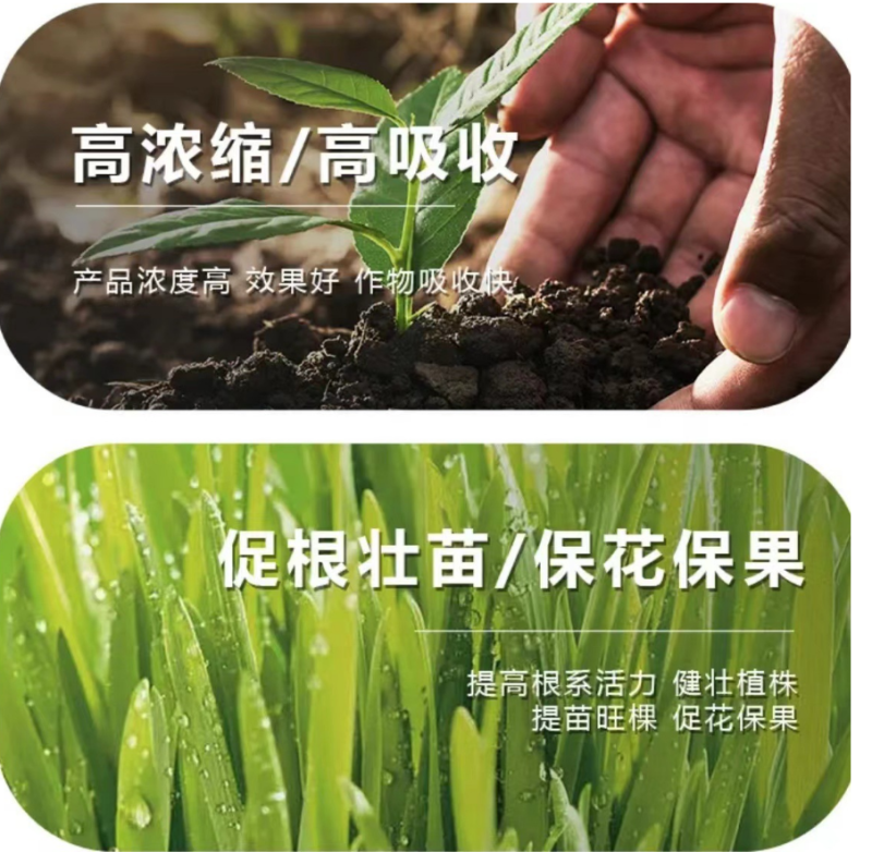大量元素水溶肥料氮磷钾肥蔬菜果树花卉大棚正品冲施肥平衡农
