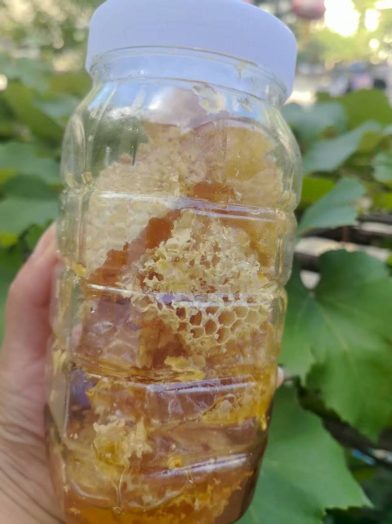 甘肃农家土蜂蜜自产自销货源稳定可批发零售欢迎随时联系