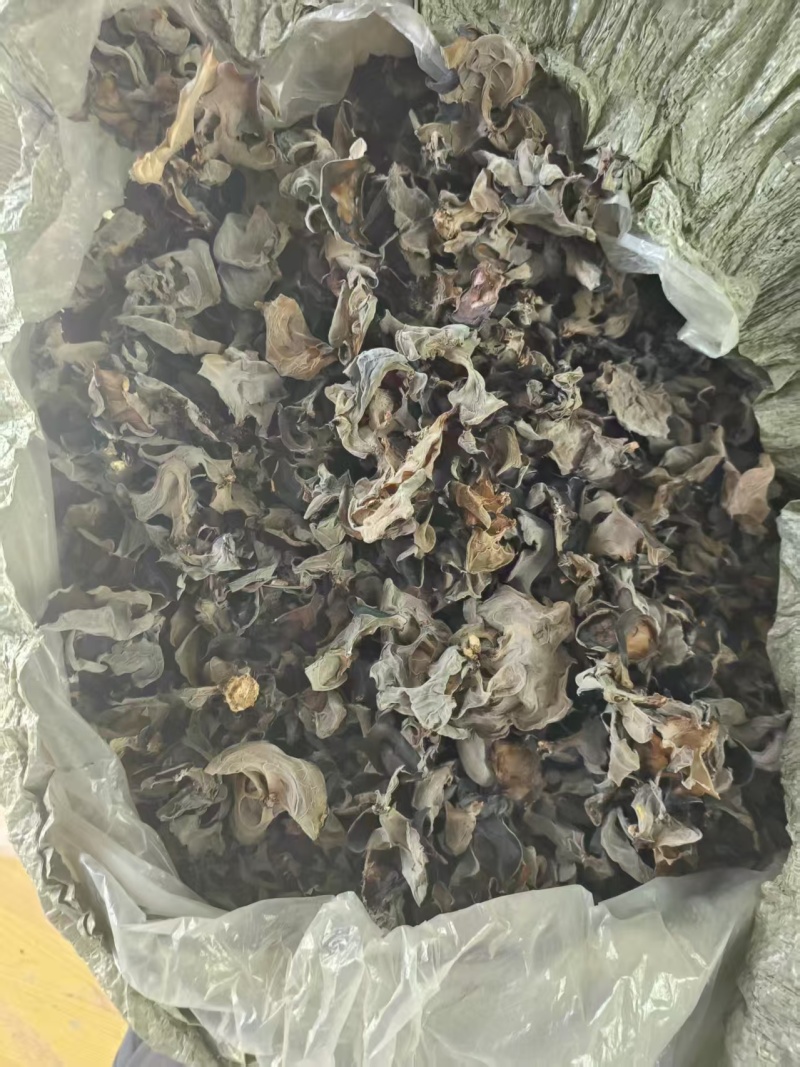 甘肃黑木耳干货，货量充足高泡发质量保证可供电商商超