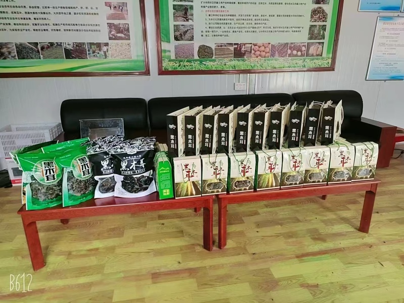 甘肃黑木耳干货，货量充足高泡发质量保证可供电商商超
