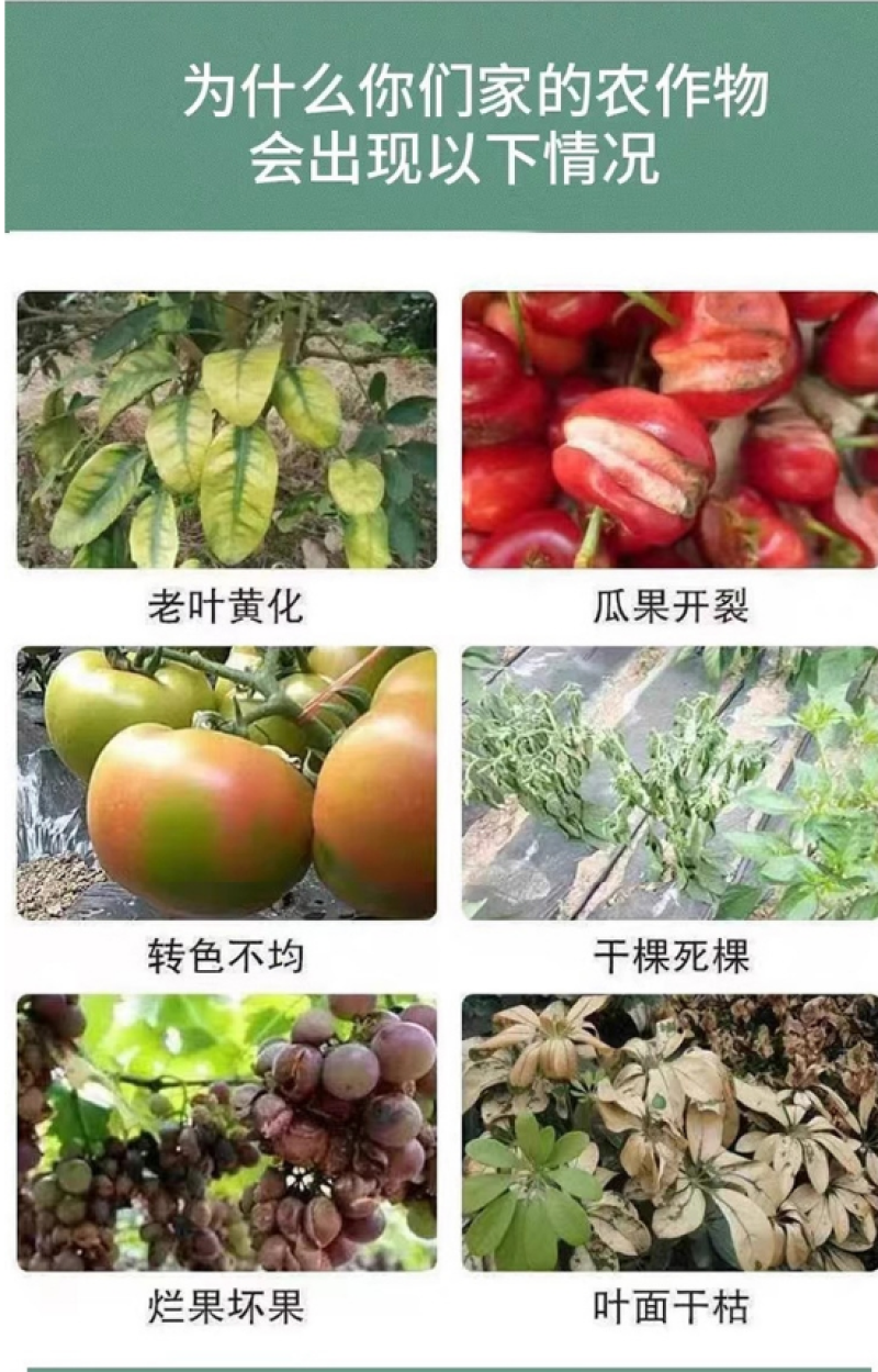 大量元素水溶肥果树蔬菜高氮磷钾平衡全水溶冲施肥膨果正品