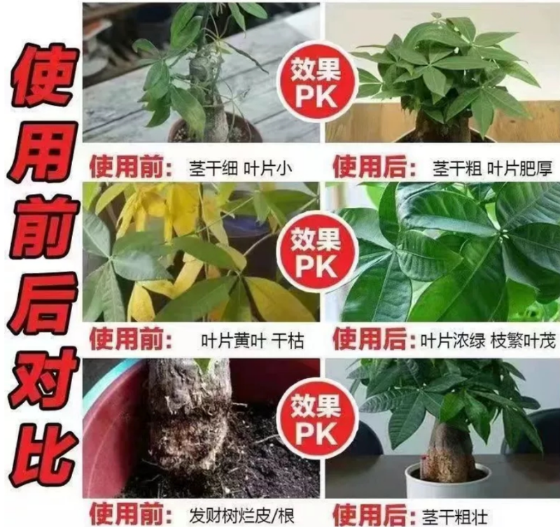 大量元素水溶肥果树蔬菜高氮磷钾平衡全水溶冲施肥膨果正品