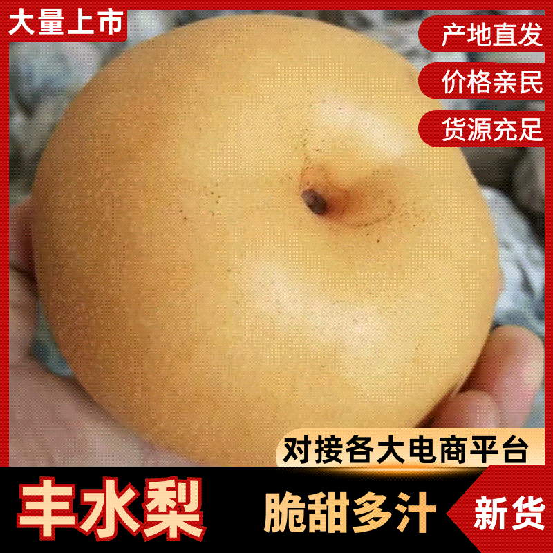 聊城冠县精品丰水梨礼盒装产地直销脆甜可口质量保证