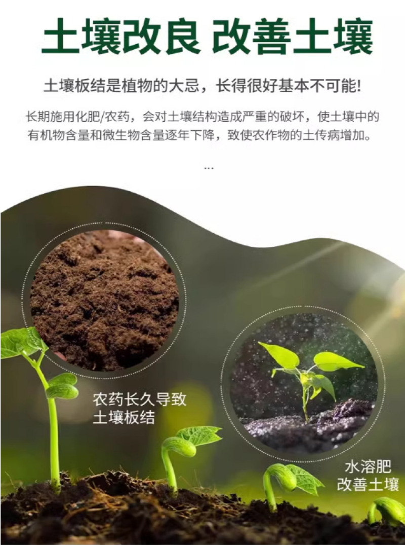瓜果蔬菜专用肥土壤肥料园艺通用型专用肥缓释颗粒肥养花专用