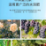 瓜果蔬菜专用肥土壤肥料园艺通用型专用肥缓释颗粒肥养花专用