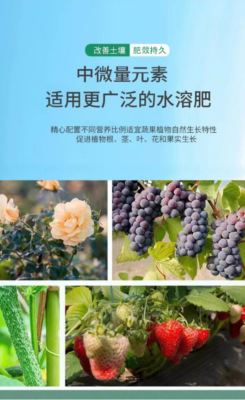 瓜果蔬菜专用肥土壤肥料园艺通用型专用肥缓释颗粒肥养花专用
