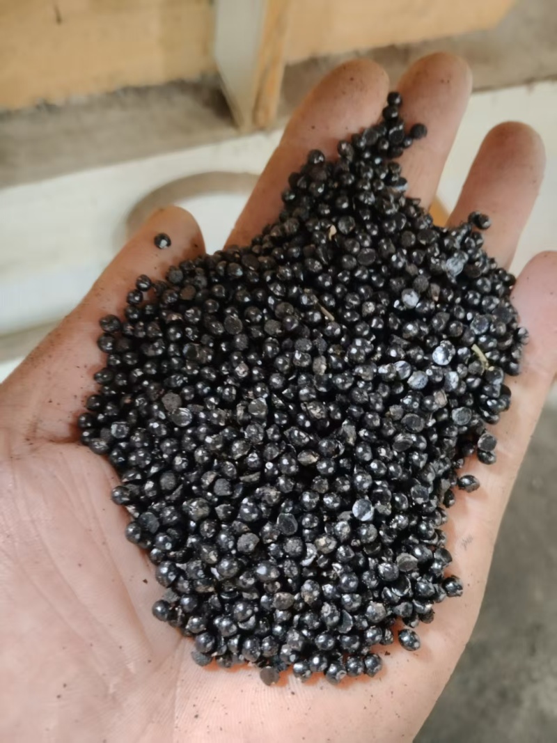 【产地直供】青花椒籽稳定供货量大价优欢迎来电咨询