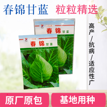包菜种籽牛心甘蓝种子春丰甘兰春秋包菜夏秋四季绿蔬菜种孑春