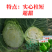 包菜种籽牛心甘蓝种子春丰甘兰春秋包菜夏秋四季绿蔬菜种孑春