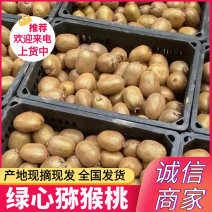 《绿心猕猴桃》南阳内乡县/产地现摘现发/规格齐全/全国发货