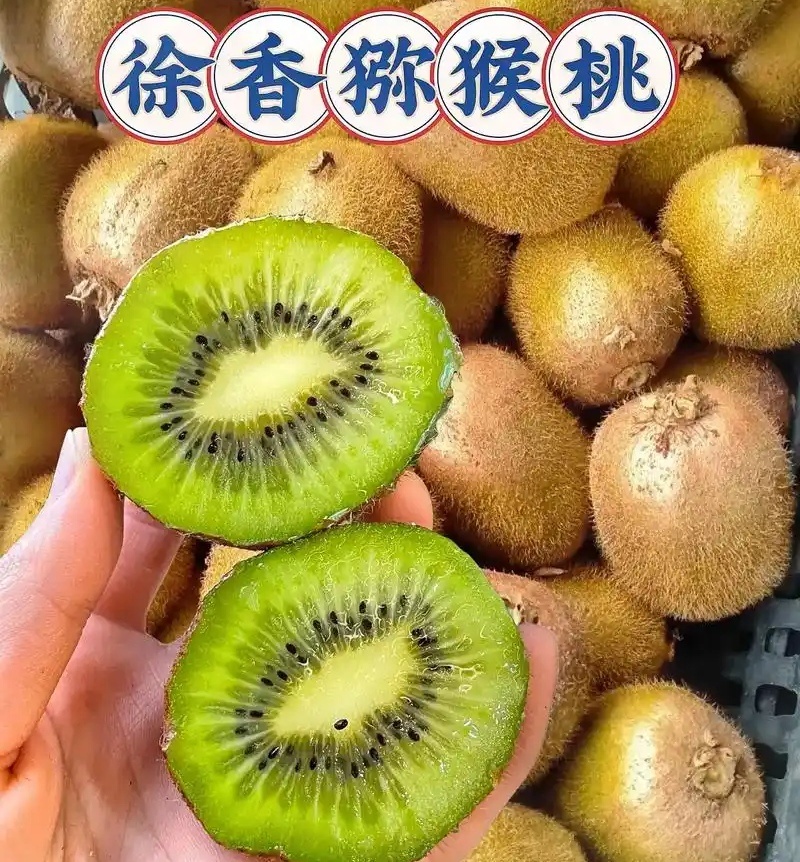 《绿心猕猴桃》南阳内乡县/产地现摘现发/规格齐全/全国发货