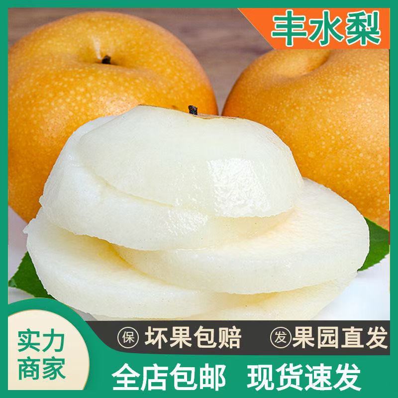 丰水梨山东梨产地直供一件代发规格齐全，可视频看货欢迎电联
