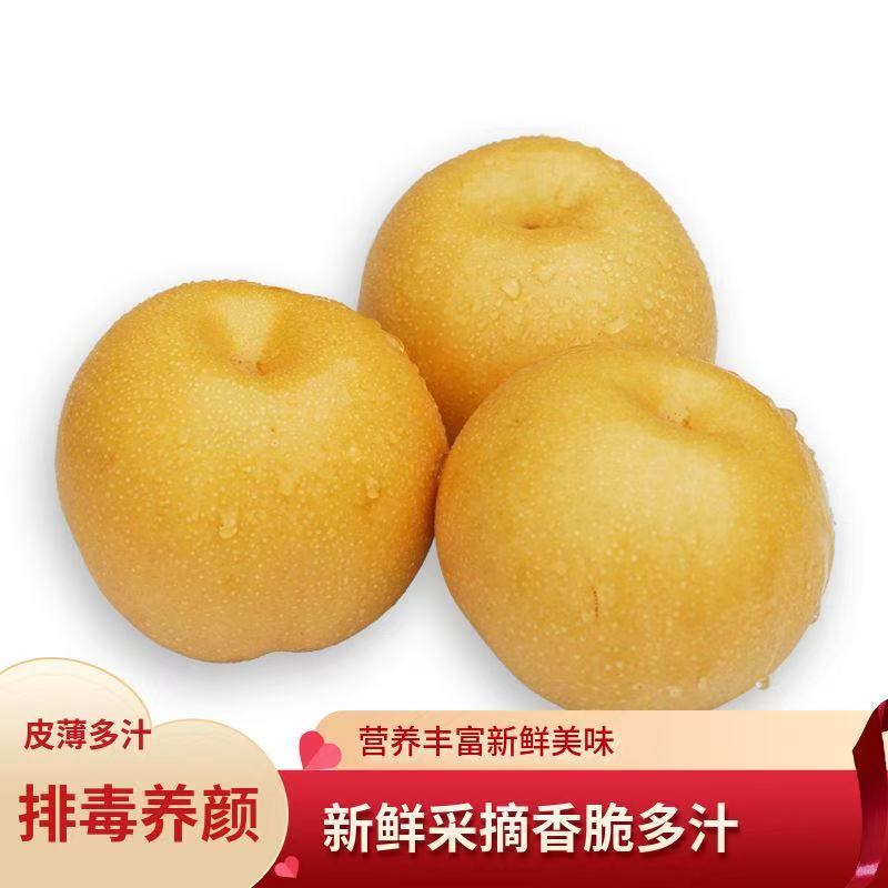 丰水梨山东梨产地直供一件代发规格齐全，可视频看货欢迎电联