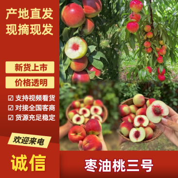珍珠枣油桃枣油桃3号陕西枣油桃基地直发量大从优
