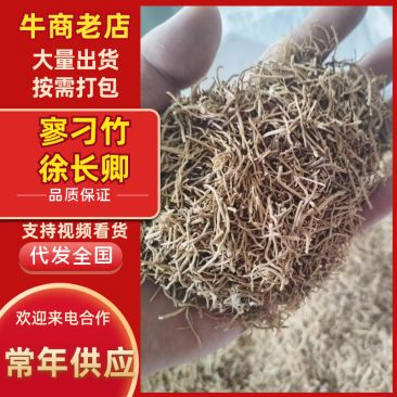 新鲜中药材徐长卿鲜货当地种植一手货源量大从优