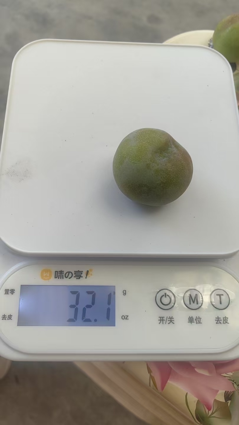 四川半边红李子精品李子现摘现发一手货源全国发货