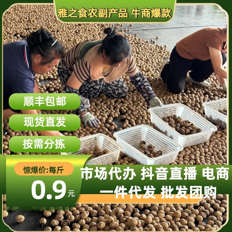 四川凉山青皮核桃产地一手货源价格低品质好包邮